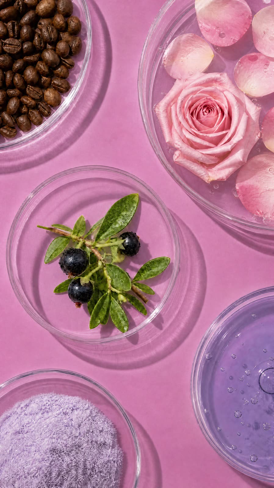 Botanical ingredients and textures in glass dishes — concept artwork