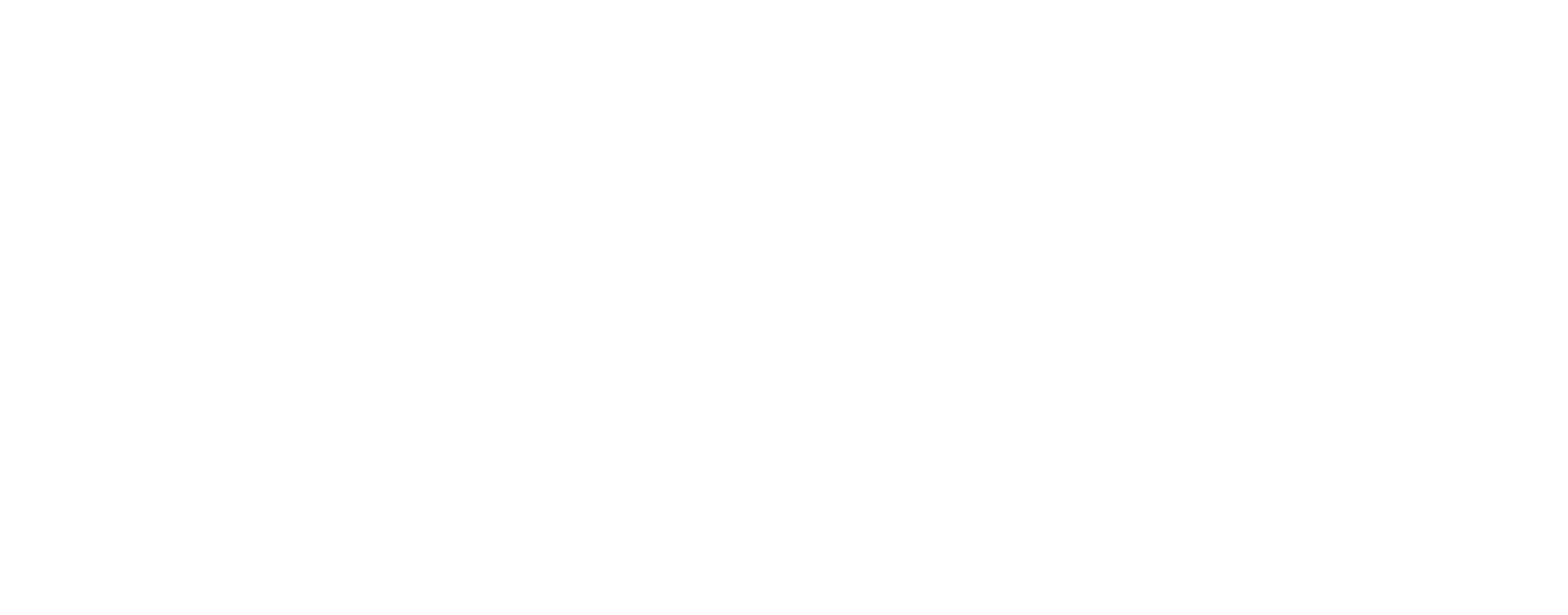 Elaris Inc.